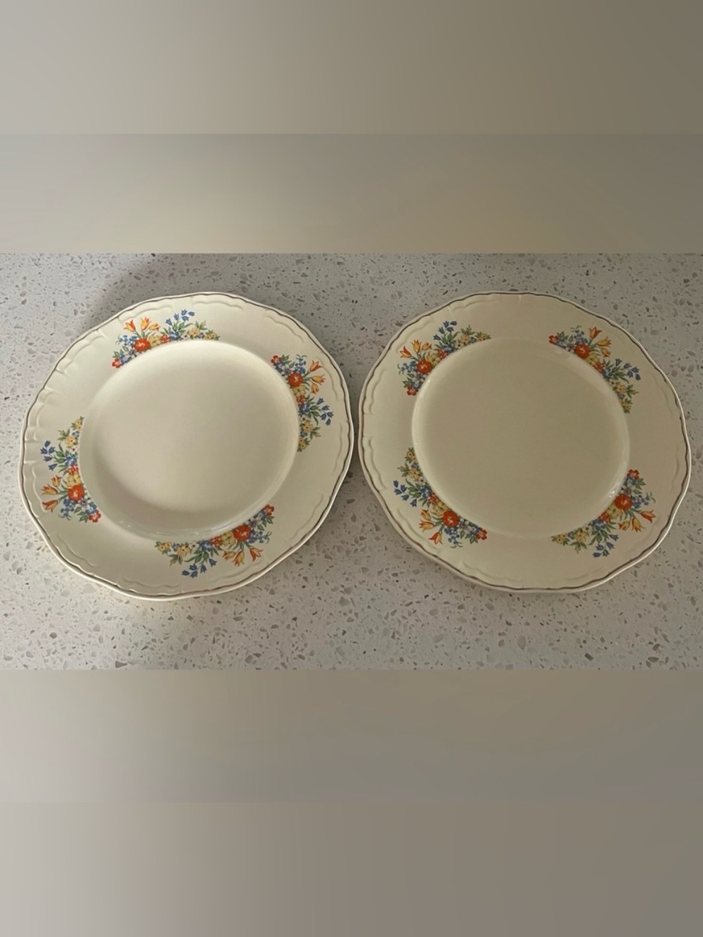 Vintage Cream Dinner Plates with Multicolor Floral Border - Set of 2